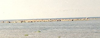 View of Varesrahu Island Varesrahu.jpg