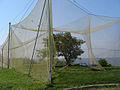 Nets in the bird ringing station in Vente