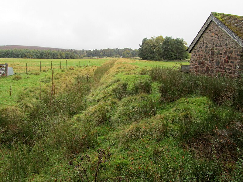 File:View from Granby Wood - geograph.org.uk - 2614655.jpg