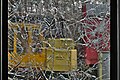 * Nomination View through the shattered glass of a door in the SNCB B22490 type-K3 carriage, looking at a yellow H. Weyhausen KG backhoe loader in As, Belgium (DSCF3088-hdr) --Trougnouf 21:35, 31 January 2018 (UTC) * Promotion  Support Good quality.--Agnes Monkelbaan 06:11, 1 February 2018 (UTC)