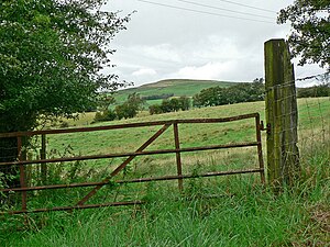 Blick in Richtung Cefn Eglwysilan - Rhydyfelin - geograph.org.uk - 1459668.jpg