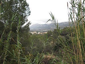 Vista de La Carroja.jpg
