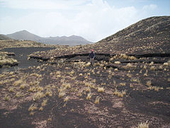 Vulkáni kőzet a Kamerun-hegyen