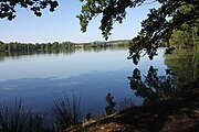 Čeština: Rybník Vybírač (21,3 ha) v k.ú. Buková u Nových Hradů, obec Olešnice, okres České Budějovice. English: Vybírač pond in Olešnice, České Budějovice District, South Bohemian Region, Czechia.