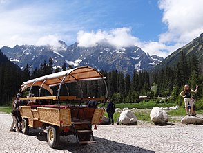 Pferdekutschen auf der Alm Włosienica