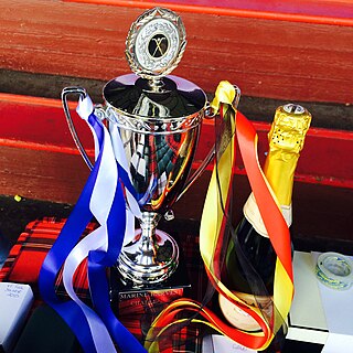 <span class="mw-page-title-main">Women's Camanachd Association Challenge Cup</span>