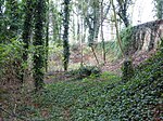 Weybourne Town Pit