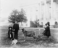 White House--Major Russell Harrison and Harrison children--Baby McKee and sister on goat cart.jpg