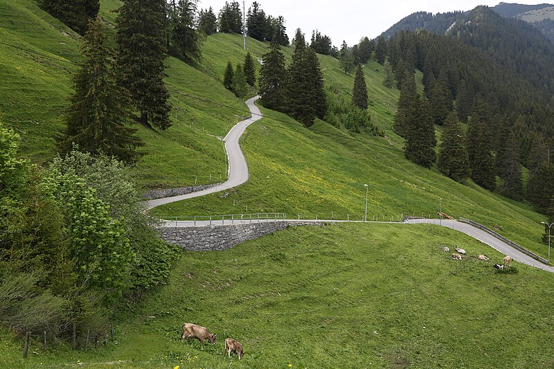 File:Wikiolo in Liechtenstein (453).jpg