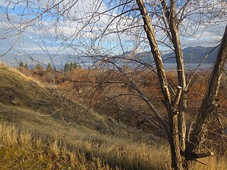 <span class="mw-page-title-main">Okanagan Lake Provincial Park</span> Provincial park in British Columbia, Canada