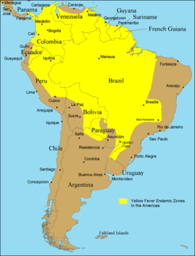 Estats endèmics de febre groga a Sud-amèrica