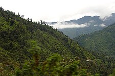 Gambar yang menunjukkan Yungas di Provinsi Tucuman, hutan tebal yang terletak di lereng timur pegunungan Andes