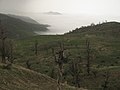Zarju - Eshghkooh - panoramio - Alireza Javaheri (1).jpg
