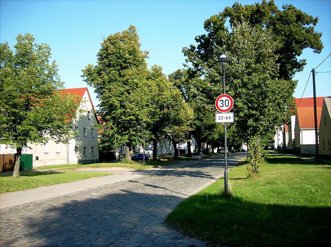 Zinna (Torgau)