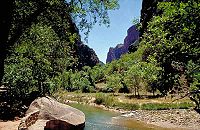 Canyon de Sion.jpg