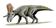 Miniatura para Zuniceratops christopheri