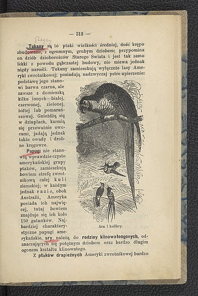 File:Zwierzeta ladowe i morskie w roznych czesciach swiata 1907 (101184428).jpg