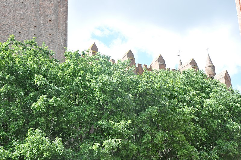 File:Église Notre-Dame de la Dalbade, Toulouse - panoramio.jpg