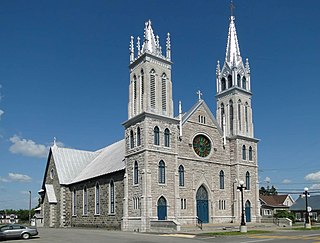 <span class="mw-page-title-main">Saint-Narcisse</span> Parish municipality in Quebec, Canada