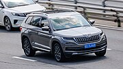 Миниатюра для Файл:ŠKODA KODIAQ China (8).jpg