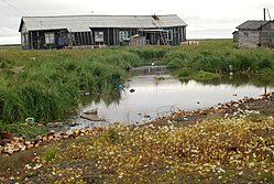 Bugrino - panoramio.jpg