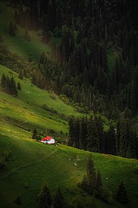 105. Ile-Alatau National Park author - Мирсаитов Ислам