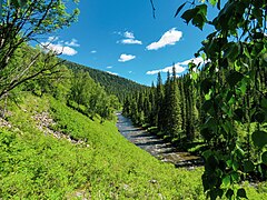 Rivière Tchiornaïa Ouba.