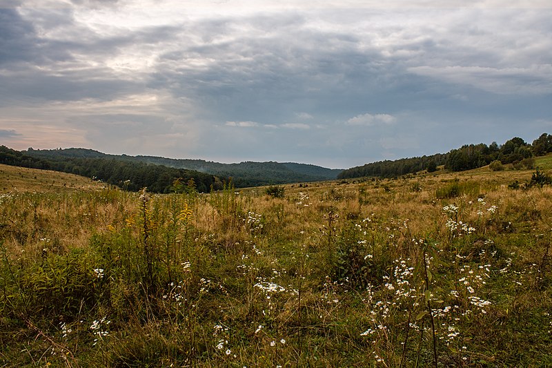 File:С.Чугалі. Національний природний парк «Кременецькі гори".jpg