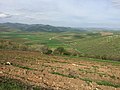 کۆلەصەڕەش - مایاوا - سڵێمانی -کۆماری کوردستان - panoramio.jpg
