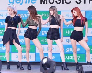 Nine Muses (group) South Korean girl group