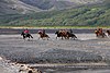 Tourists riding Icelandic horses