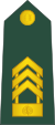 10-Slovenian Army-CSM.svg