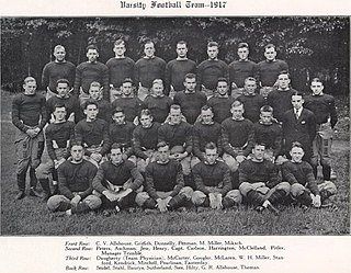 1917 Pittsburgh Panthers football team American college football season