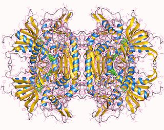 <span class="mw-page-title-main">Pyranose oxidase</span>