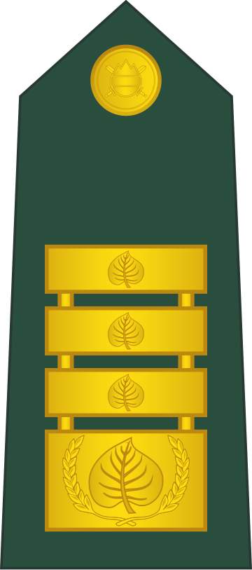 File:20-Slovenian Army-LG.svg