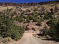 2014-09-25 13 58 50 View north along Buck Creek Road about 1.1 miles north of the Nevada state line at the junction with Three Creek-Jarbidge Canyon Road in Owyhee County, Idaho.JPG