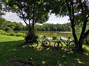 2019-08-08 - LT 04 - Mountain bike tour Lauda-Königshofen - East route - Picture 43.jpg