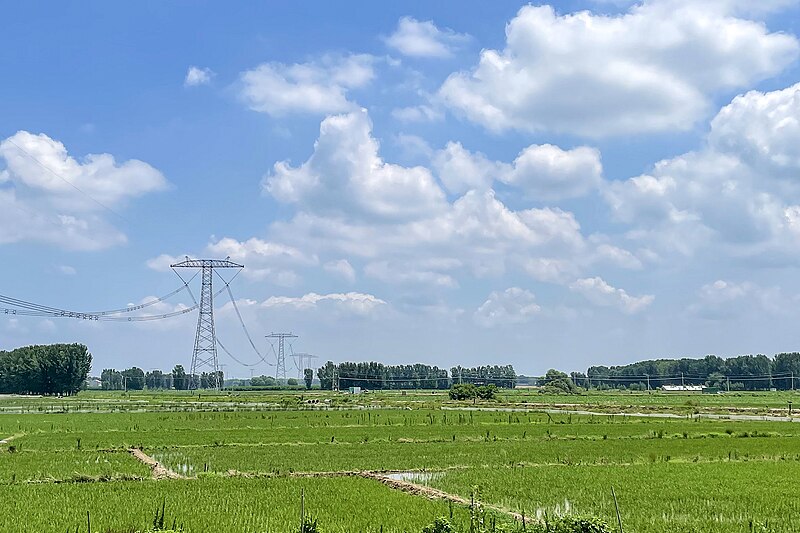 File:20210715 Rice farms in Yuanyang County, Henan.jpg