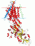 Gambar mini seharga Na+/K+-ATPase