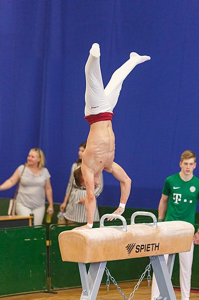 File:5th Budapest Cup 2019-05-25 Sebestyén Márkus (Norman Seibert) - 03518.jpg