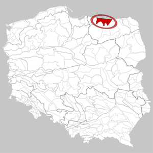 Lage der Nizina Sępopolska in Polen