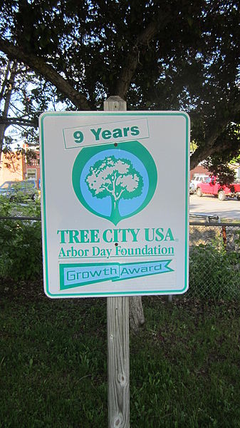 File:9 Year Tree City USA.JPG