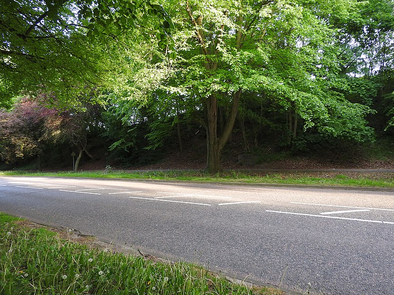 File:A2 road, bordering Rede Common, Strood 4950.jpg