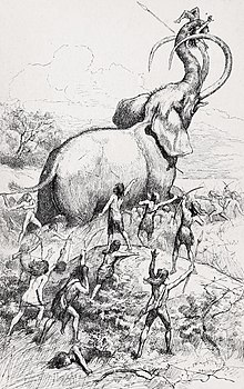 Fanciful restoration of a Columbian mammoth hunt, J. Steeple Davis, 1885 A Mammoth Hunt.jpg