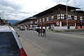 A cow on Paro street.JPG