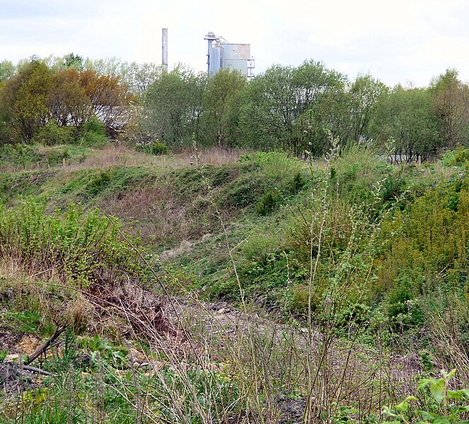 File:A last look at the railway cutting - geograph.org.uk - 5551663.jpg