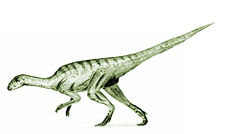 Agilisaurus2.jpg