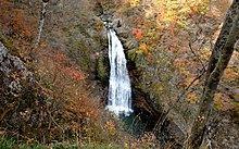 Akiu Falls 2008.jpg