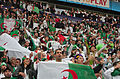 Les supporters algériens dans un match contre Roumanie en 4 juin 2014.