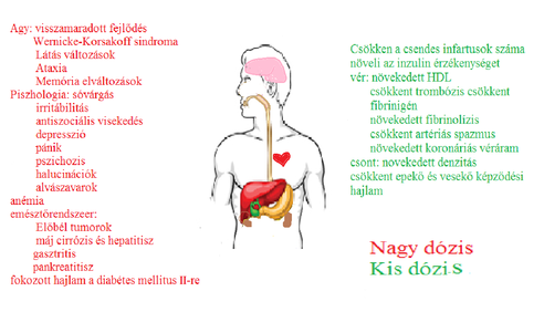 a hemoglobin hatása a látásra